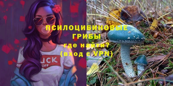 дмт Алексеевка