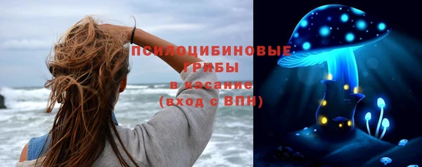 твердый Алексин