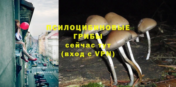 твердый Алексин