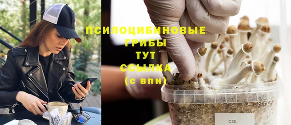 дмт Алексеевка