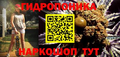spice Тара