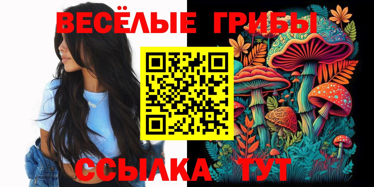 Псилоцибиновые грибы GOLDEN TEACHER  Вход с VPN  Санкт-Петербург 